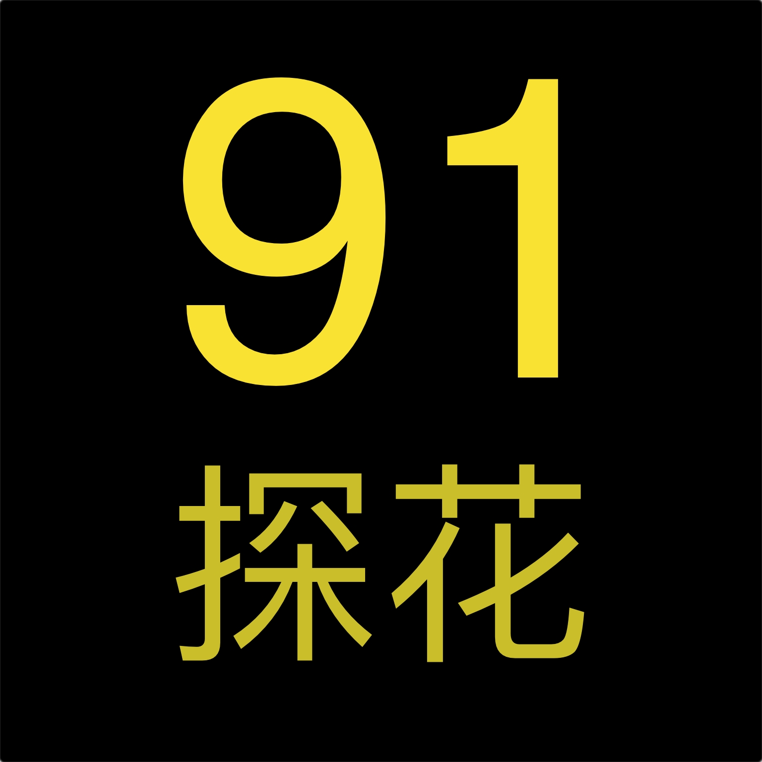 91探花